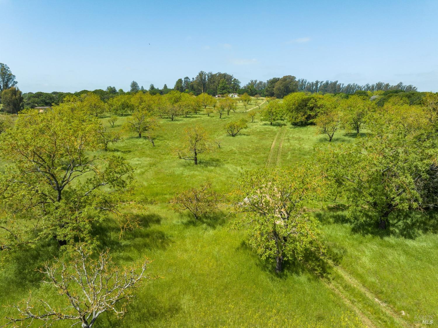 Land in Petaluma 4