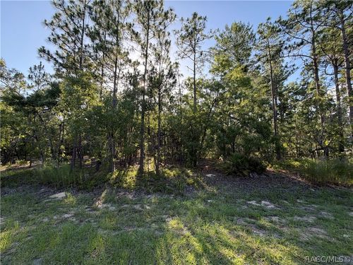 2005 County Road 243e, WILDWOOD, FL, 34785-7416 | Card Image