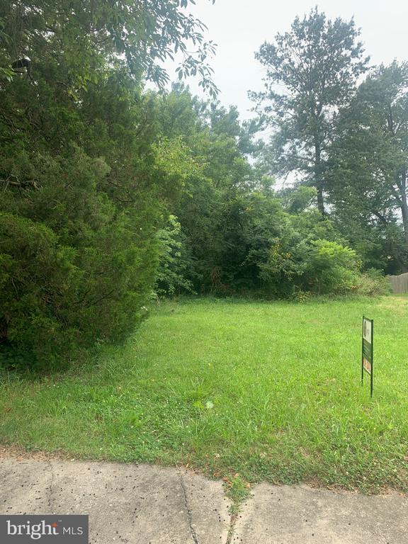 Land in WOODSTOWN