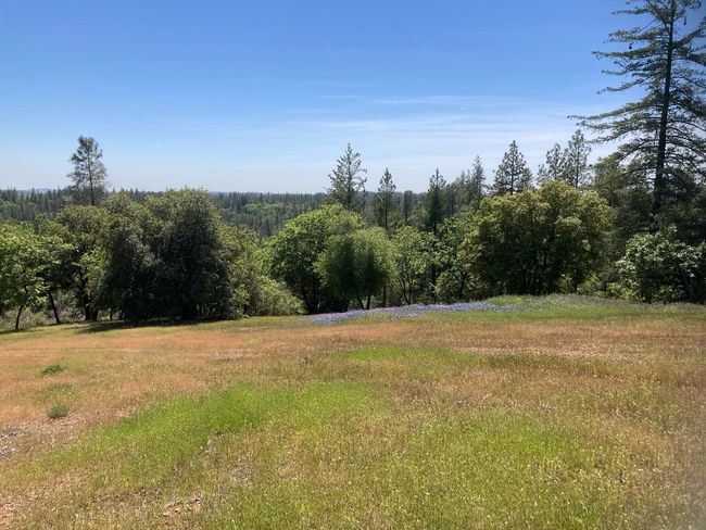 16688 Sonshine Ln, Home with 0 bedrooms, 0 bathrooms and null parking in Sutter Creek CA | Image 9