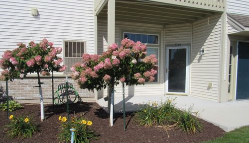 1134 Hastings Ct, Mount Pleasant, WI, 53406-7004 | Card Image