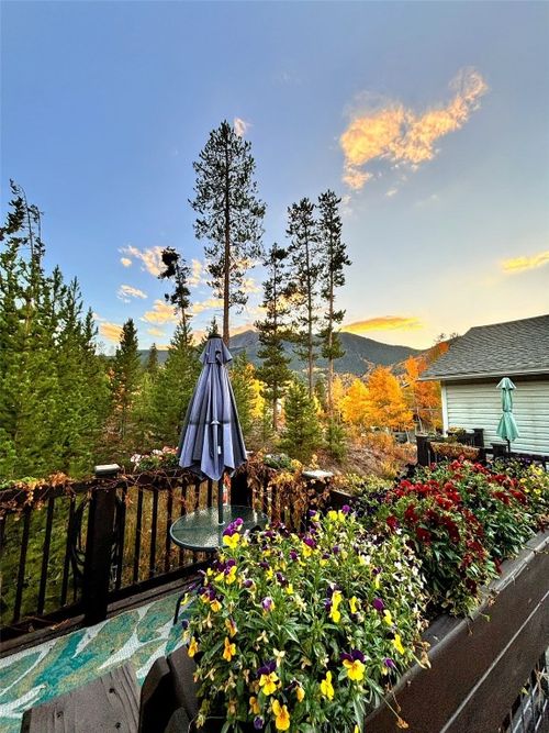 113-113 Peak One Cir, Frisco, CO, 80443-5580 | Card Image