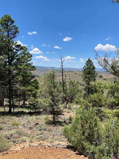 TBD Goose Creek Road, Powderhorn, CO, 81243 | Card Image