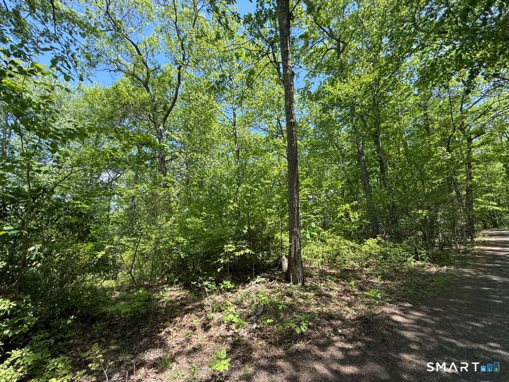 Land in Killingworth 2