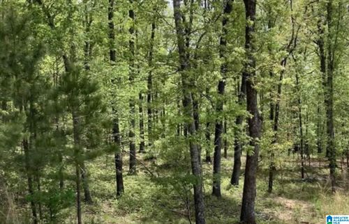 15-360 Gray Fox Road, SPRINGVILLE, AL, 35146 | Card Image