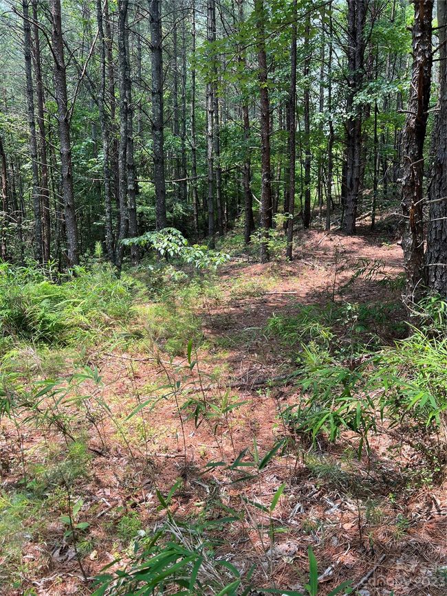 29 - 9589 Shortoff View Ter, Home with 0 bedrooms, 0 bathrooms and null parking in Nebo NC | Image 13