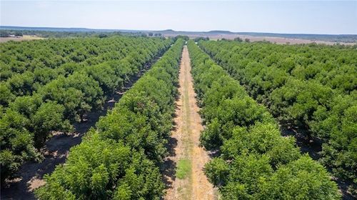 TBD County Road 216, San Saba, TX, 76877 | Card Image
