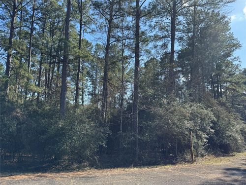 TBD White Oak St, Trinity, TX, 75862 | Card Image