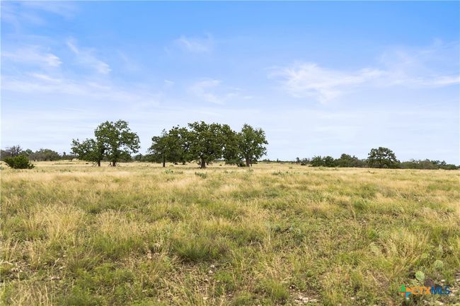 3049 Reservation Rd, Home with 0 bedrooms, 0 bathrooms and null parking in Harper TX | Image 31