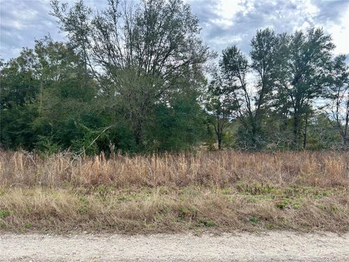 Lot 151 Sw 103rd Street, DUNNELLON, FL, 34432 | Card Image