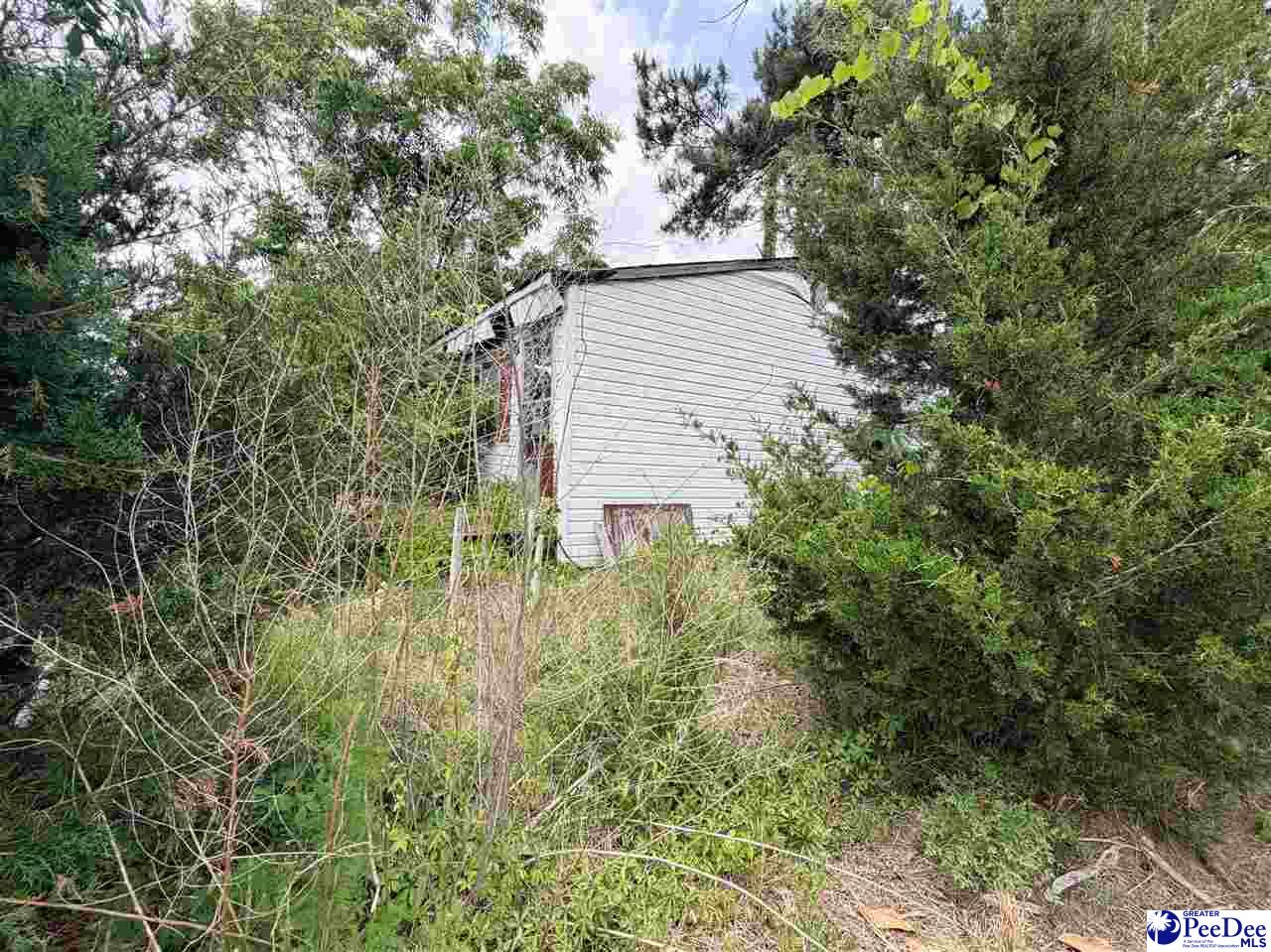 Residential in Dillon 2