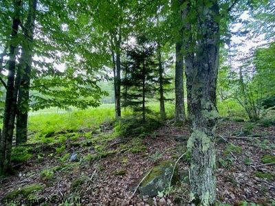 LOT-33-TUSCAN-RIDGE - Lot 33 Canal Street, Home with 0 bedrooms, 0 bathrooms and null parking in Davis WV | Image 1