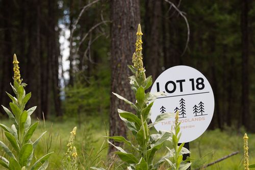 lot-18-142 Rosewood Lane, Whitefish, MT, 59937 | Card Image