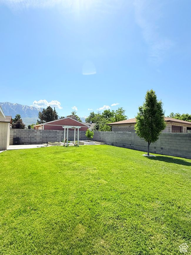 View of fenced backyard | Image 26