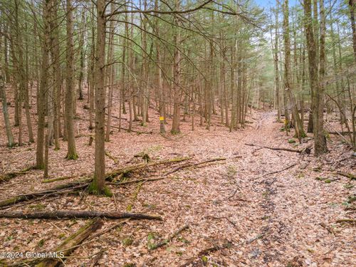 18 Engle Rd, Schoharie, NY, 12157 | Card Image