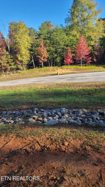 Looking from likely homesite directly across the street | Image 1