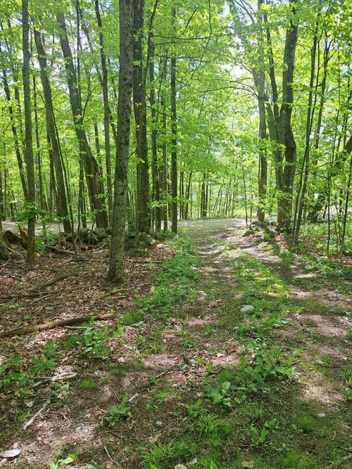 81 Hart Farm Road, Deering, NH, 03244 | Card Image