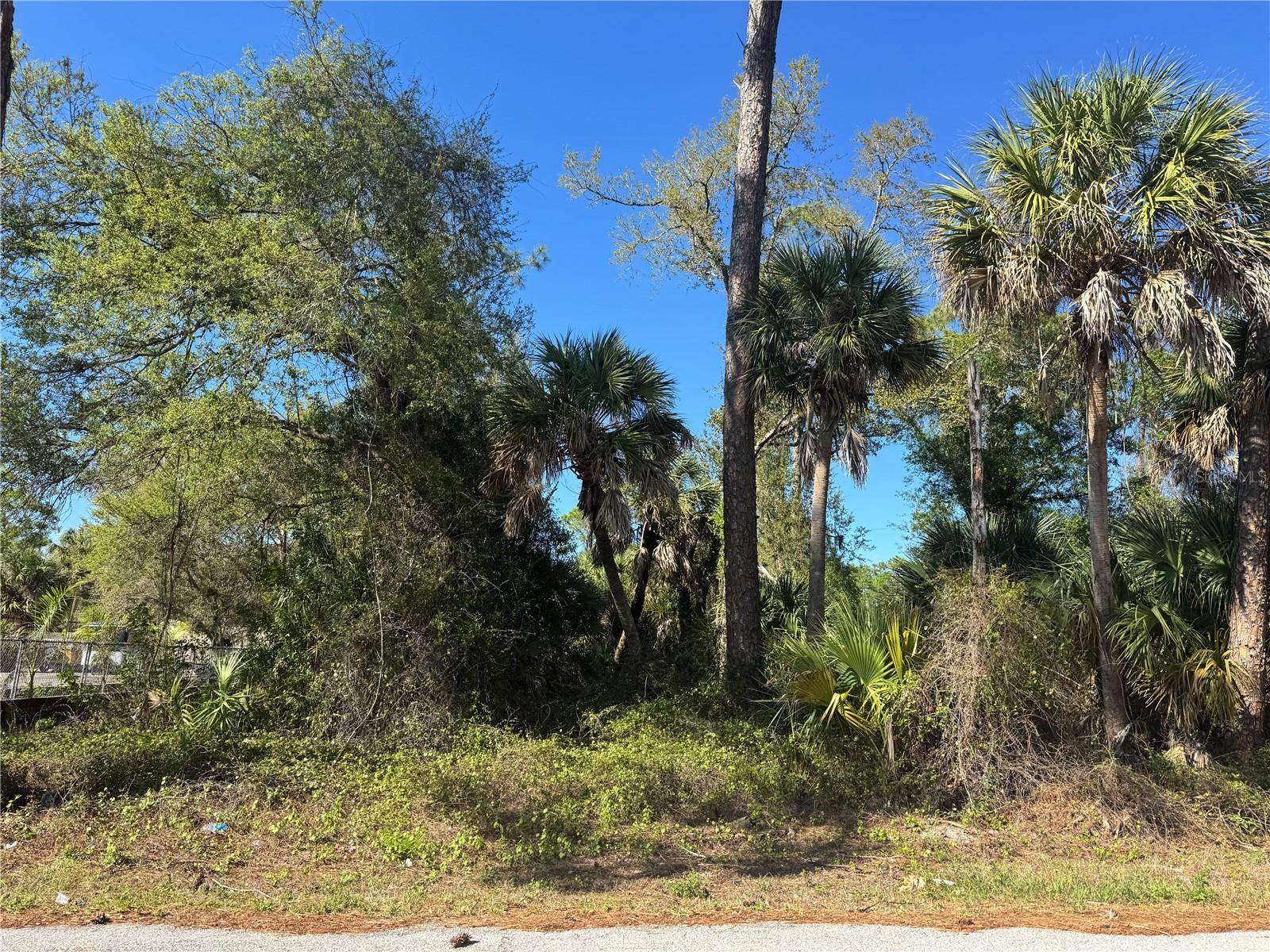 Land in PORT CHARLOTTE 3