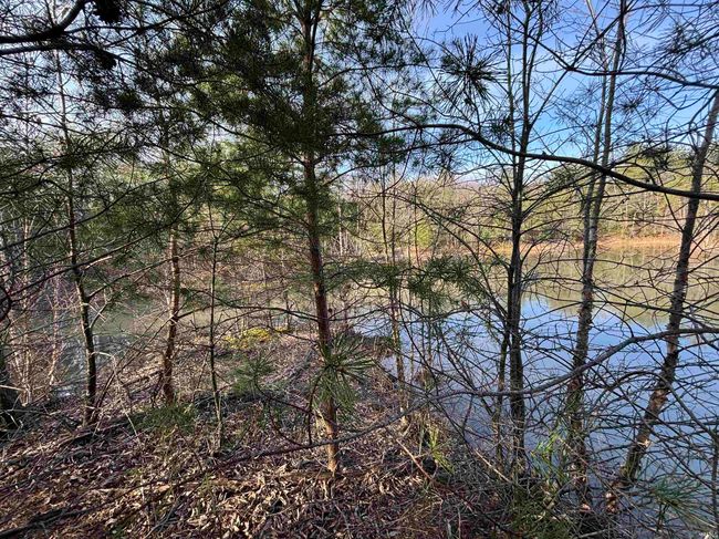 10321 W 750 N, Home with 0 bedrooms, 0 bathrooms and null parking in Jasonville IN | Image 4