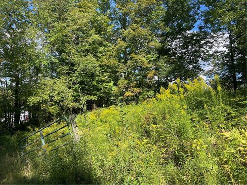 19.221 Turnpike Rd, East Meredith, NY, 13757 | Card Image