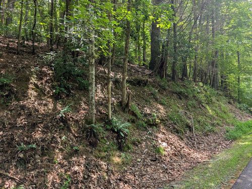 Lot P1 Goldmine Dr, Ellijay, GA, 30536 | Card Image