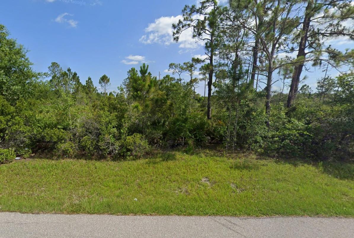 Land in PUNTA GORDA 5