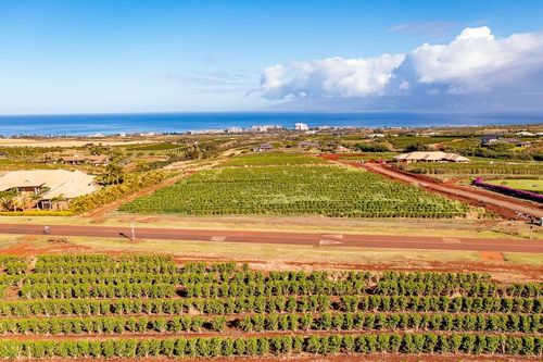 23-821 Aina Mahiai St, Lahaina, HI, 96761-8450 | Card Image