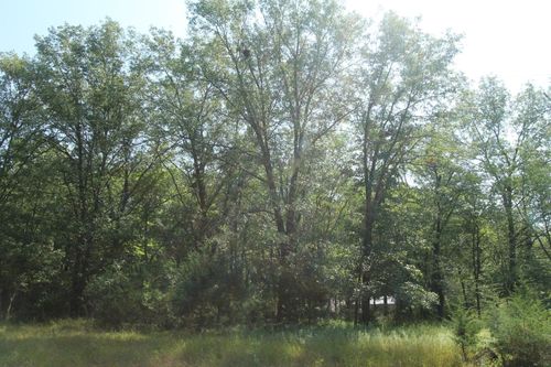 Lot 53 Tomahawk Trail, Mecan, WI, 53949-0000 | Card Image