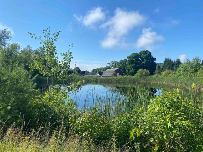 1112 Quail John Rd, House other with 4 bedrooms, 2 bathrooms and null parking in East Thetford VT | Image 8