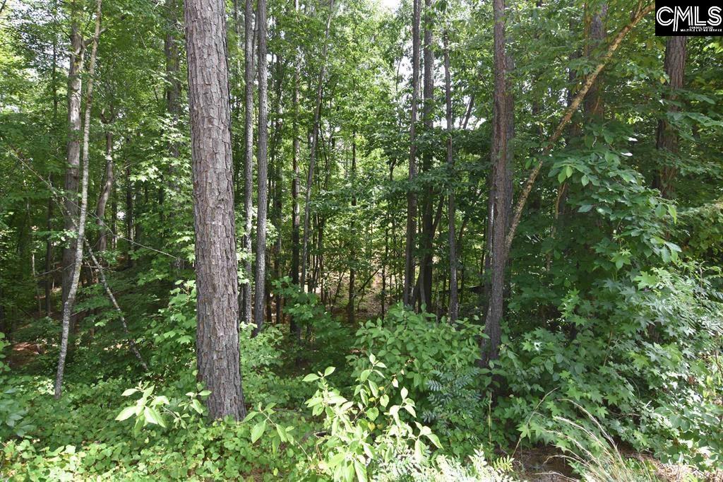 Land in Leesville 4