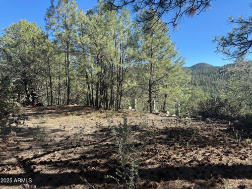 --6536 90 And 9 Rd, Crown King, AZ, 86343 | Card Image