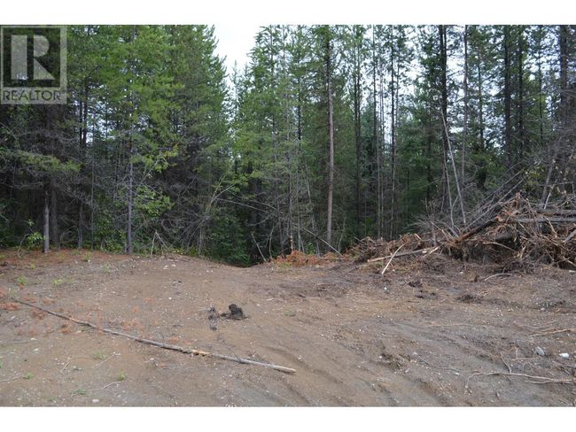 Lot 2 3 Rd St, Home with 0 bedrooms, 0 bathrooms and null parking in Kootenay Boundary BC | Image 14