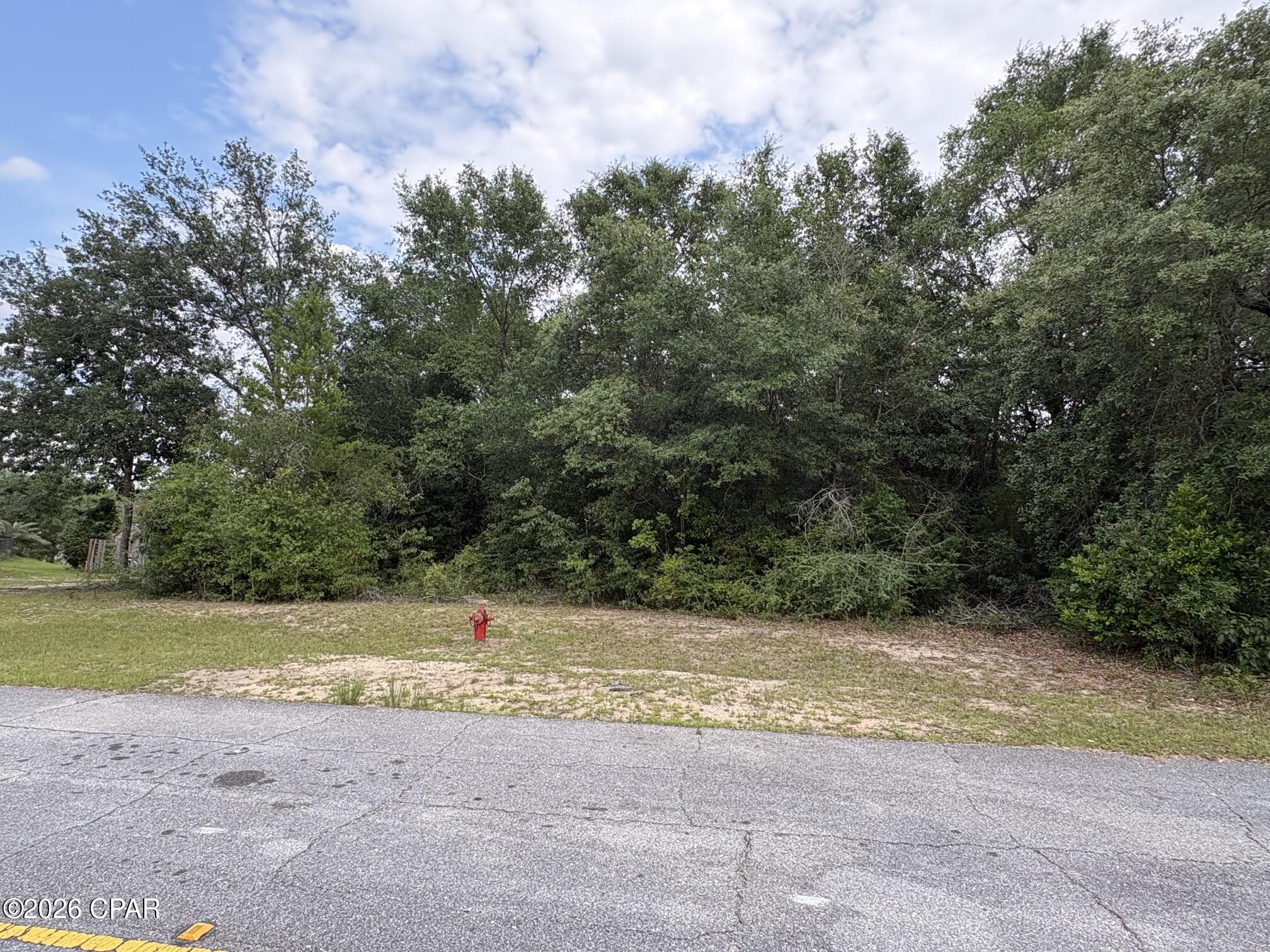 Land in Chipley 3