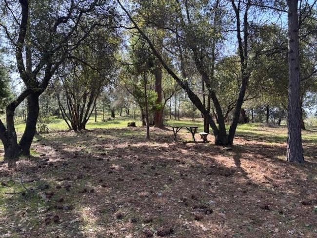 19292 Shawnee Trl, Home with 0 bedrooms, 0 bathrooms and null parking in Mokelumne Hill CA | Image 14
