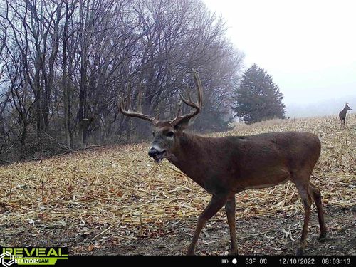 TBD 286th St, Hamburg, IA, 51640 | Card Image