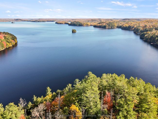 29 Thorburn Lane, Home with 0 bedrooms, 0 bathrooms and null parking in Huntsville ON | Image 7