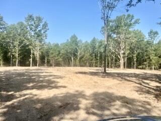 Land in Licking 5
