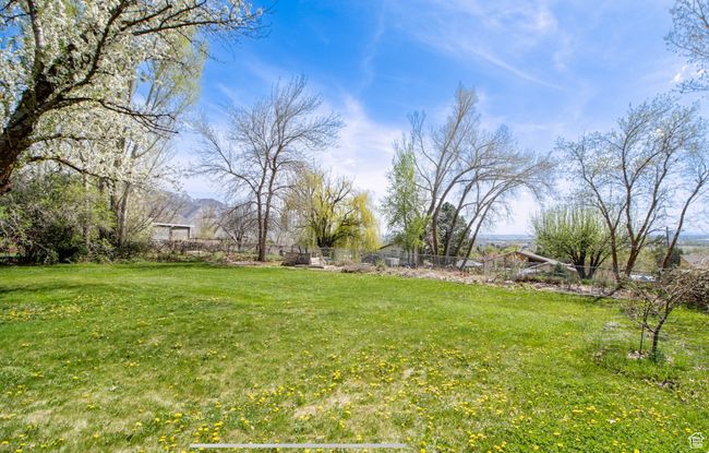 View of yard with a mountain view | Image 28