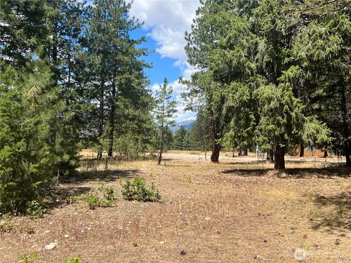 4 Mazama Meadows Ln, Mazama, WA, 98833 | Card Image