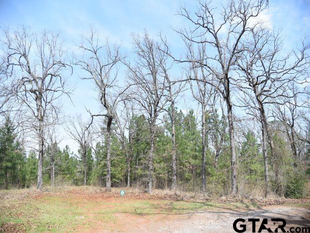 Land in Montalba 2