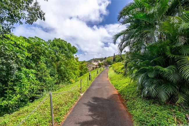 Many paved walking paths within Puu Alii | Image 22