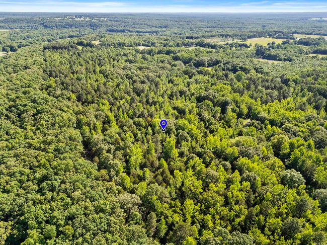 256 Rambo Loop, Home with 0 bedrooms, 0 bathrooms and null parking in Searcy AR | Image 5