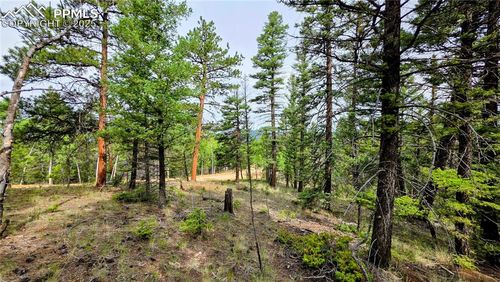 223 Shavano Creek Trl, Florissant, CO, 80816-7209 | Card Image