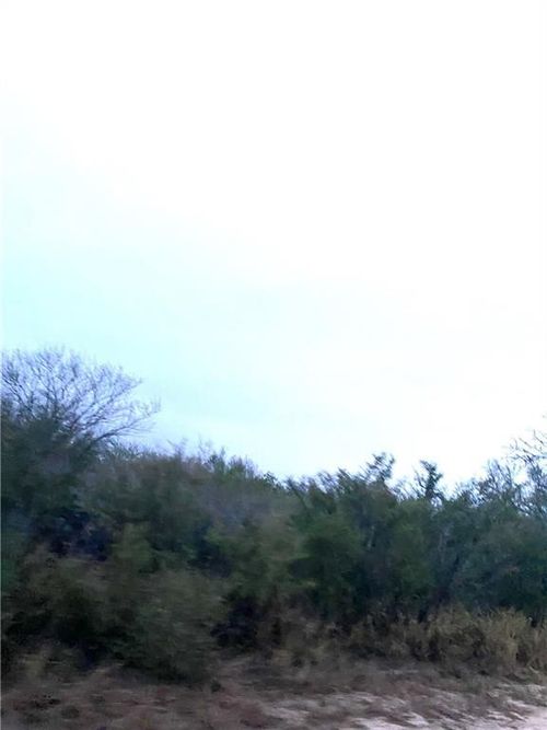 0 Fm 1329, San Diego, TX, 78384 | Card Image