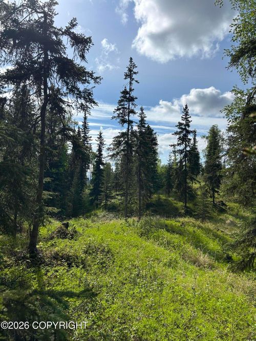 34815 Schwalm Rd, Soldotna, AK, 99669-8652 | Card Image