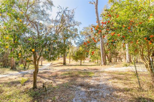 2095 Stone Rd, DELAND, FL, 32720-6937 | Card Image