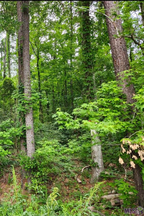 Lot 84 Baker Dr, Denham Springs, LA, 70726 | Card Image