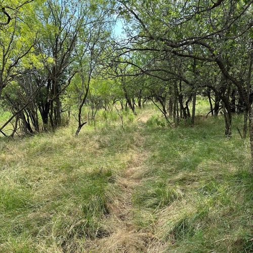 Tract 11 AC Cr 150, Abilene, TX, 79601 | Card Image