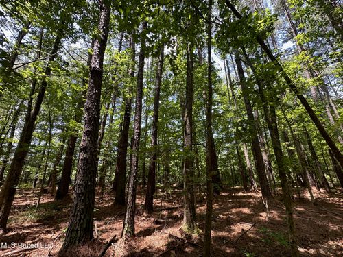 4 Country Ln, Philadelphia, MS, 39350 | Card Image