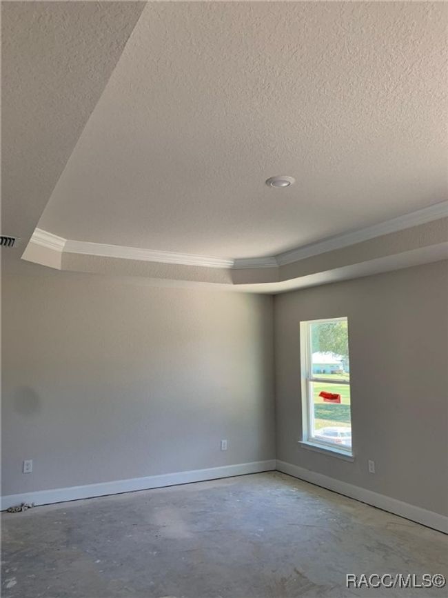 Tray ceiling in owner's bedroom | Image 24